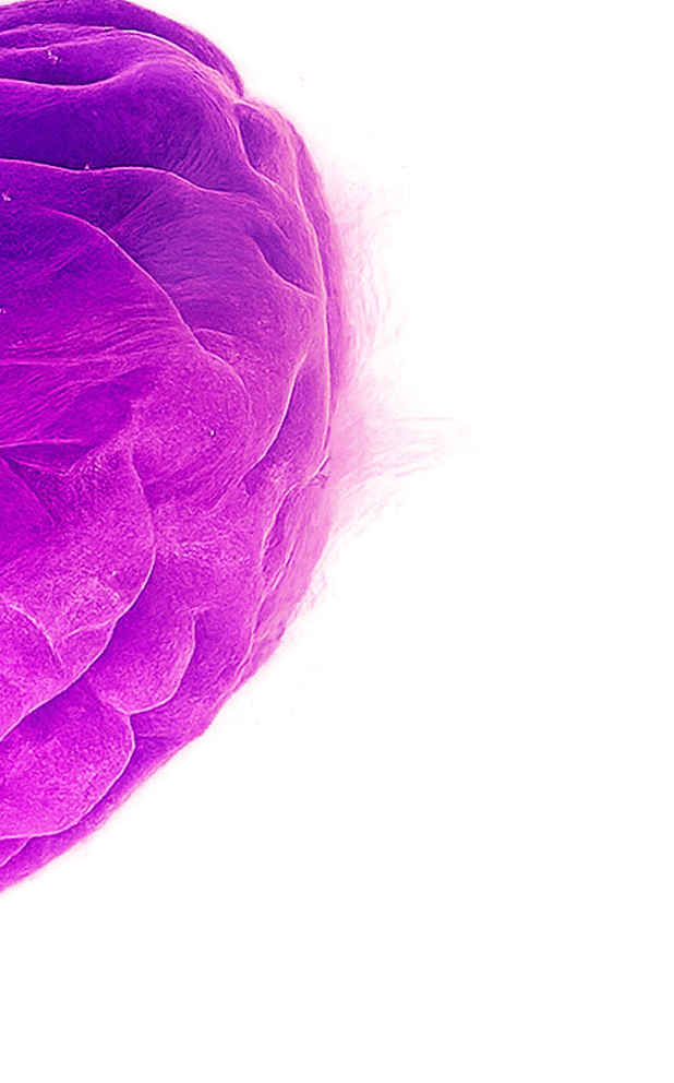 hero-background-mobile