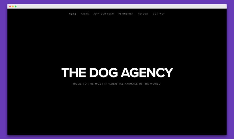 dog-agency-web1