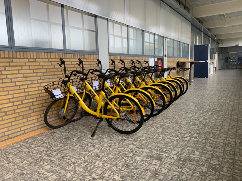 batch-of-frooom-bikes-ready-for-customers