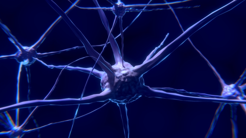 neuron-neural-network-brain-1