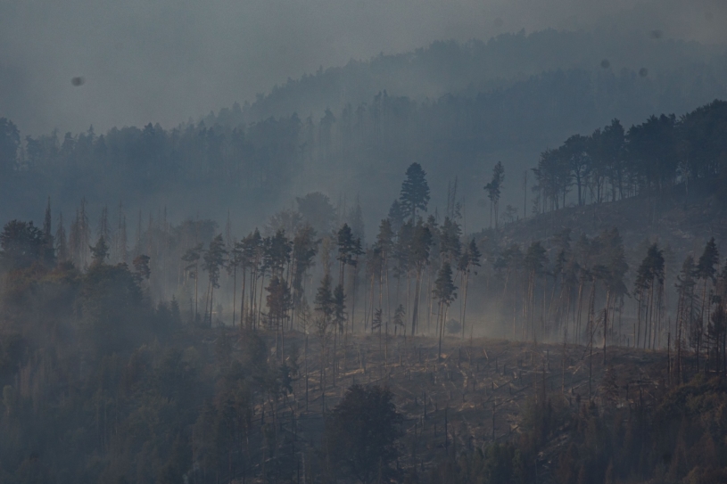 Les po požáru
