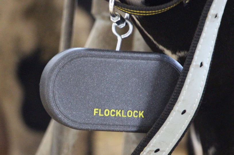 flocklock