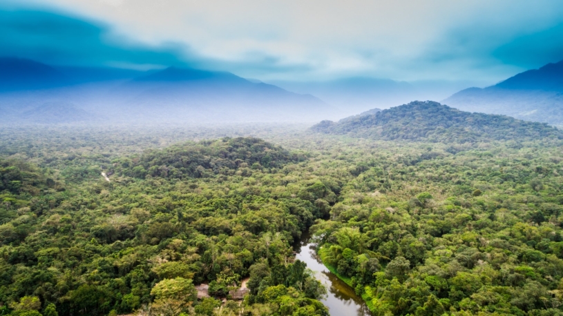 Malý zázrak v kolumbijské džungli. Děti, které přežily pád letadla, byly po 40 dnech nalezeny živé