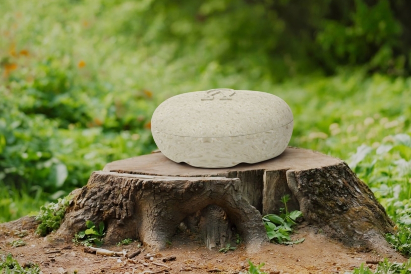 Student navrhl rakve pro domácí mazlíčky z mycelia. Získal za to cenu za udržitelný design