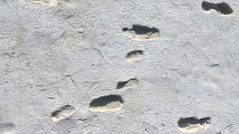 footprints2