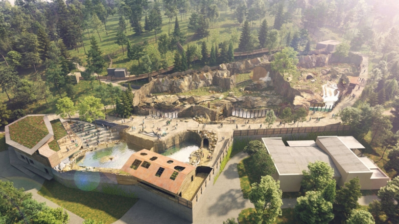 V pražské zoo se začne stavět pavilon pro lední medvědy. Cenu srazil velký zájem firem o stavbu