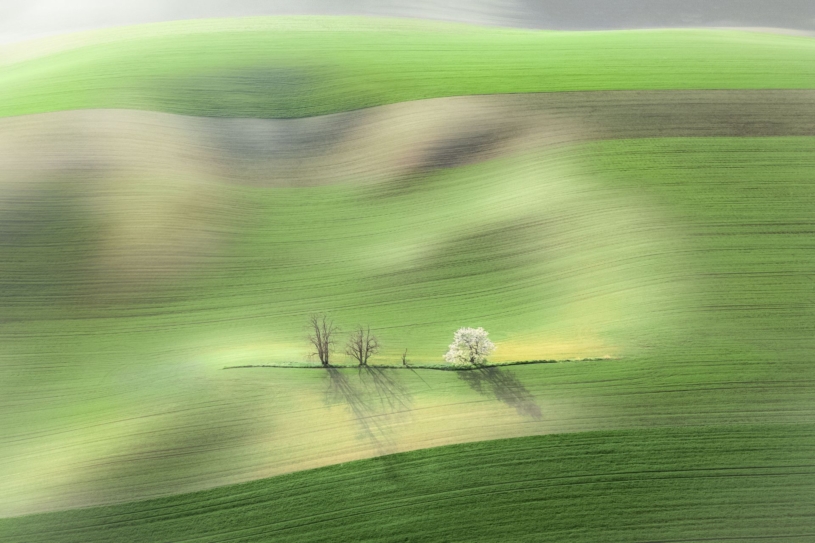 daniel-franc-4