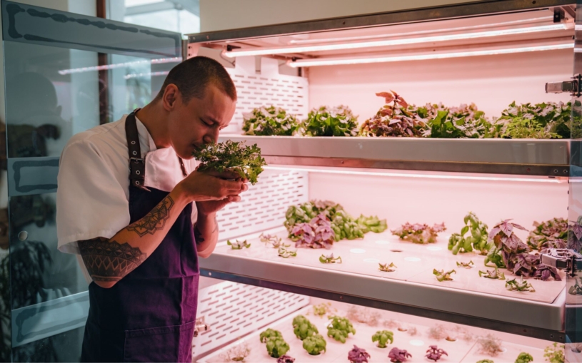 Vymysleli „fabii“ pro pěstování bylinek. Díky tomu mohou růst i mezi školními lavicemi nebo v kancelářích