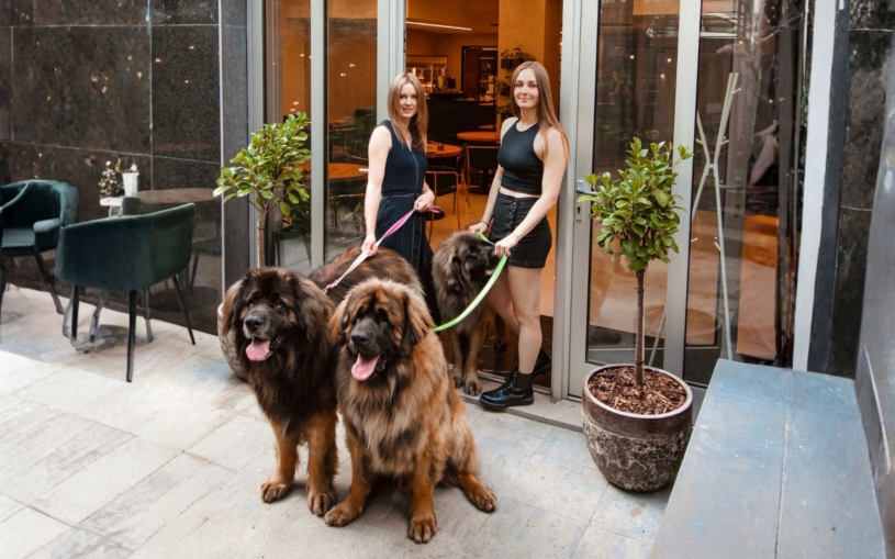 Štěňata proti stresu. Dvě kamarádky vozí psí jógu do kanceláří, teď v Praze otevřely i kavárnu