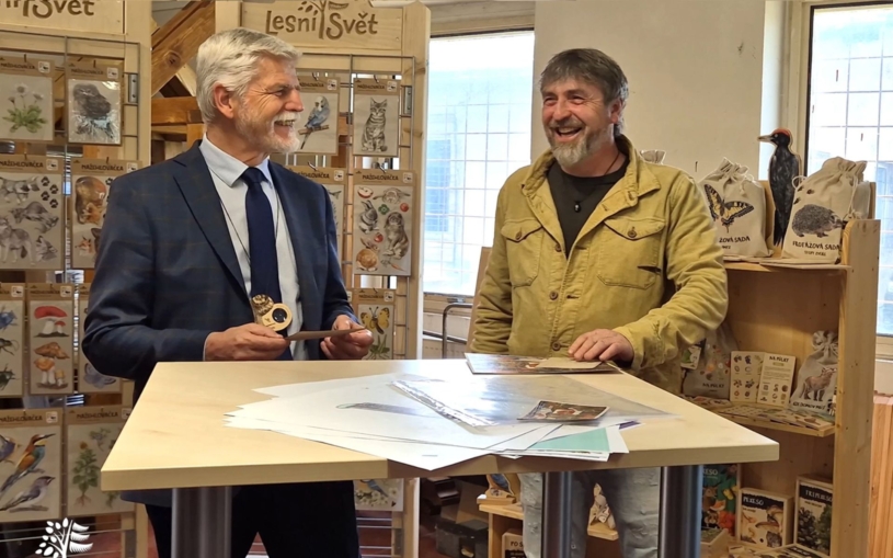 lesni-svet-2