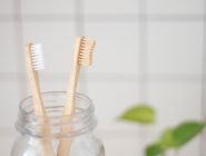 toothbrush-bamboo