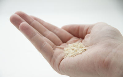 solar-foods-solein-1