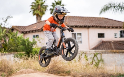 harley-davidson-kids-boxed