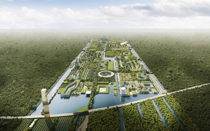 smart-forest-mesto-1