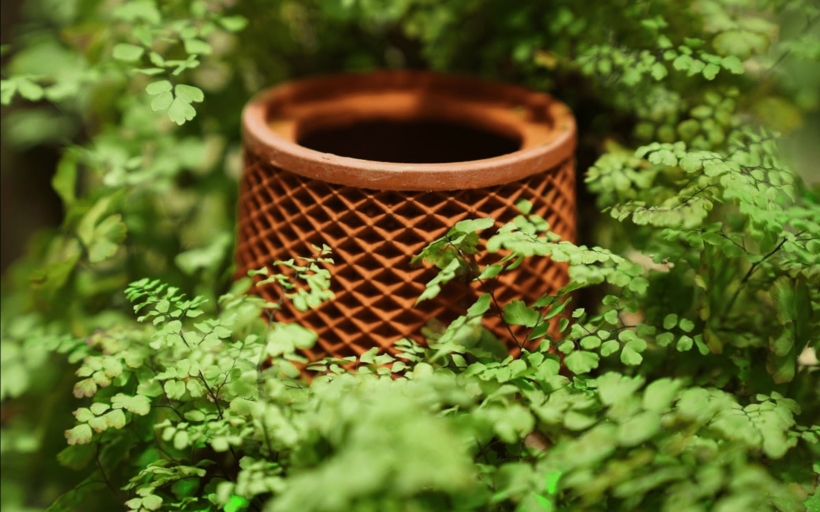 terraplanter-copy-min