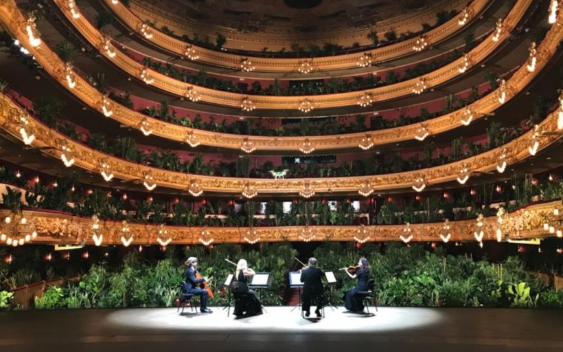 opera-barcelona-plants