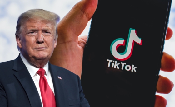 tiktok-trump-boxed