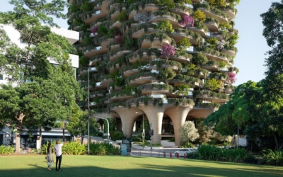 urban-forest2