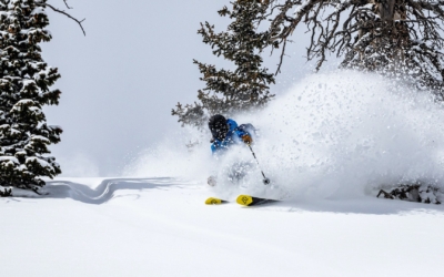 wndr-alpine-skis-algae-design_dezeen_2364_hero-min