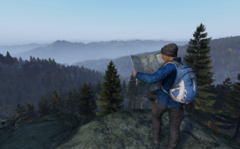 dayz