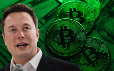 musk-bitcoin