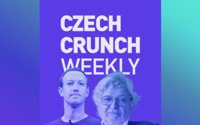 ccweekly-newsletterbox29