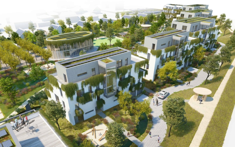 borak-chytre-lichy-min