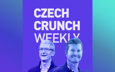 ccweekly-newsletterbox32