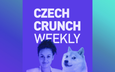 ccweekly-newsletterbox34