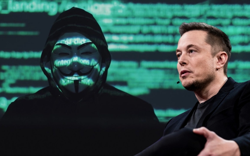 musk-anonymous