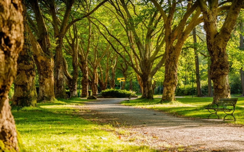 city-park