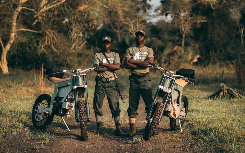 safari3