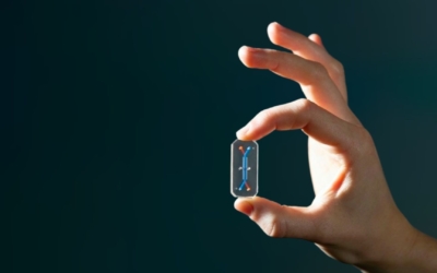 chip-1