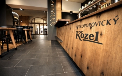 kozlovna-5