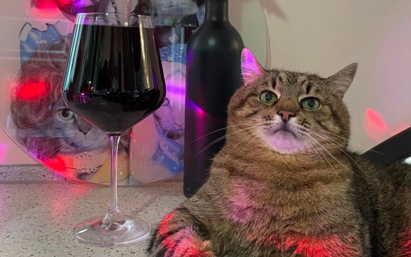 stepan-ukrajinsky_kocour-2x