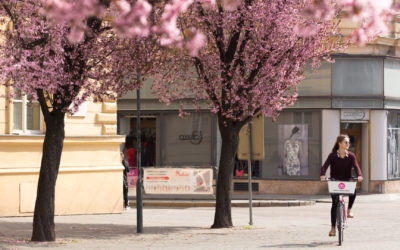 Rekola Brno