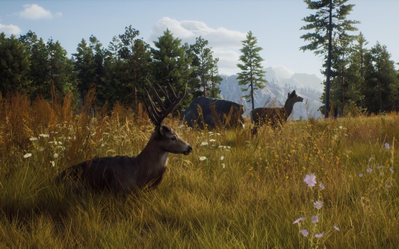 wayofthehunter-boxed