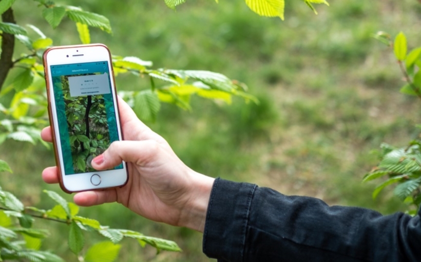 Aplikace Life Tree Check