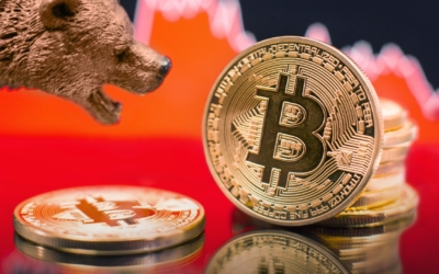 btc-bear