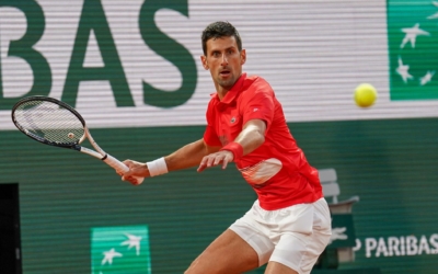 novak_2