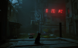 stray-4