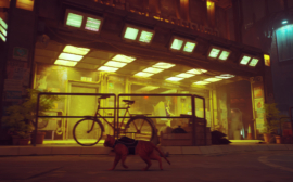 stray-3