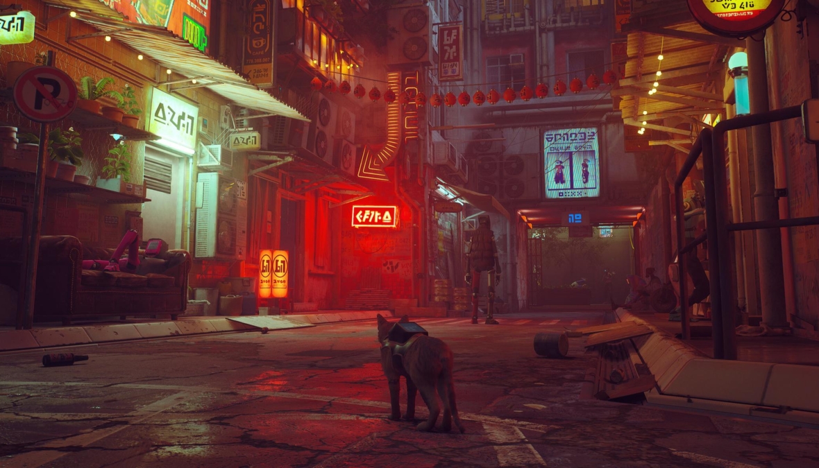 stray-boxed