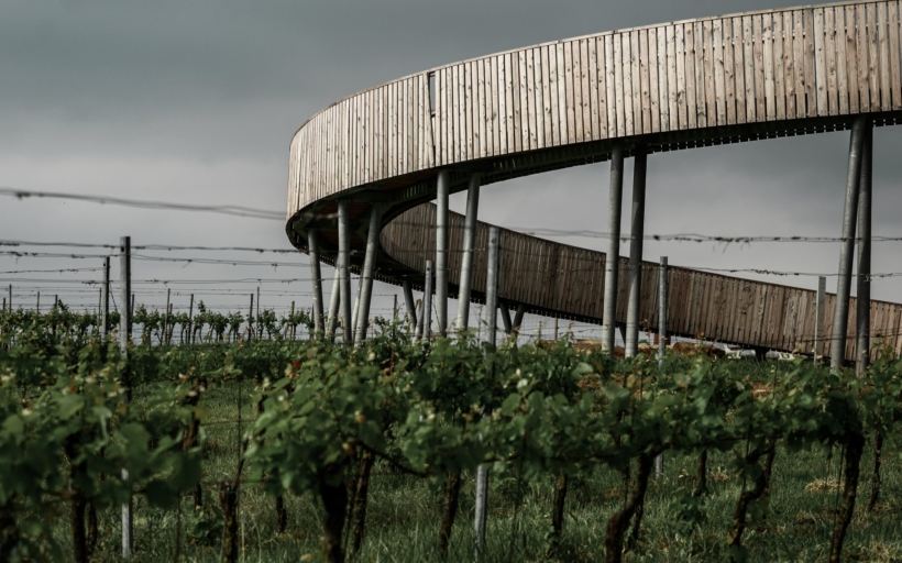 Rozhledna Kobylí vrch