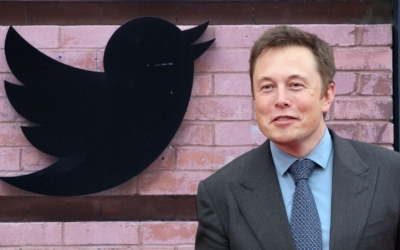 elon