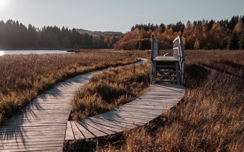 naucna-stezka-olsina-2