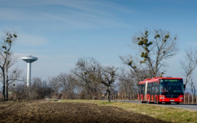 bus-blava