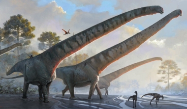 mamenchisaurus-sinocanadorum-artwork-full-width-jpg-thumb-1160-1160-min
