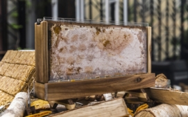 artisan-1