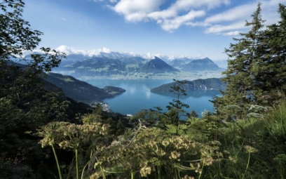rigi-3